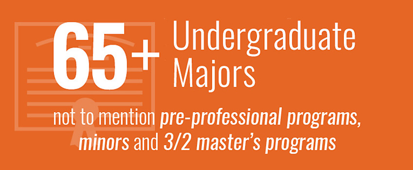 More than 65 undergraduate program of study More than 65 undergraduate program of study